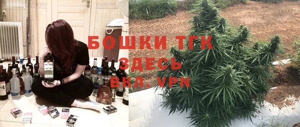 дмт Алексеевка
