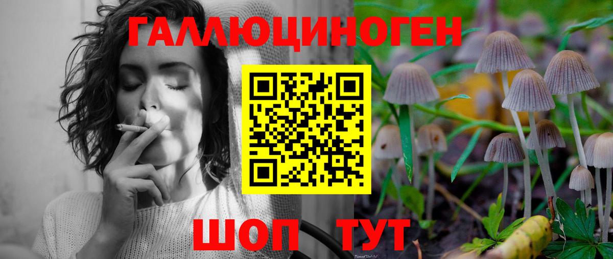 Псилоцибиновые грибы Psilocybine cubensis Урюпинск