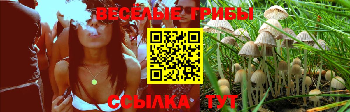 дарнет шоп  Галлюциногенные грибы мицелий  Вход с VPN  Урюпинск 